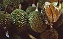WT 0600 106-12 Singapore Market Scene Durians